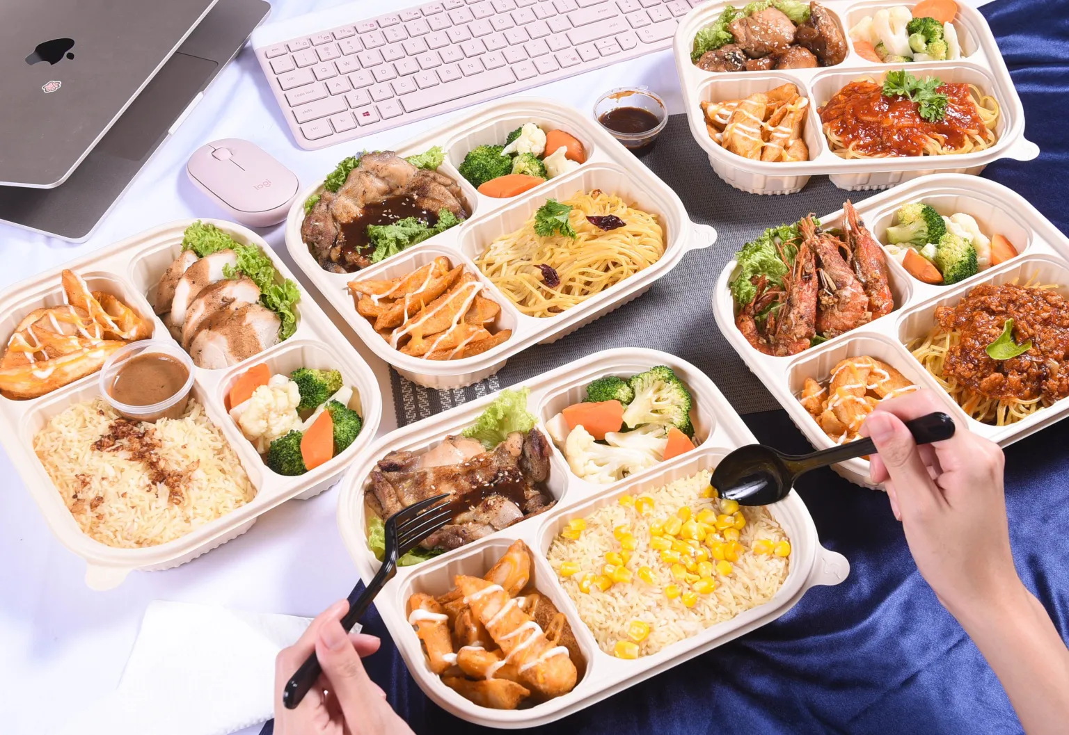 Branded Bento and lunch box catering presentation